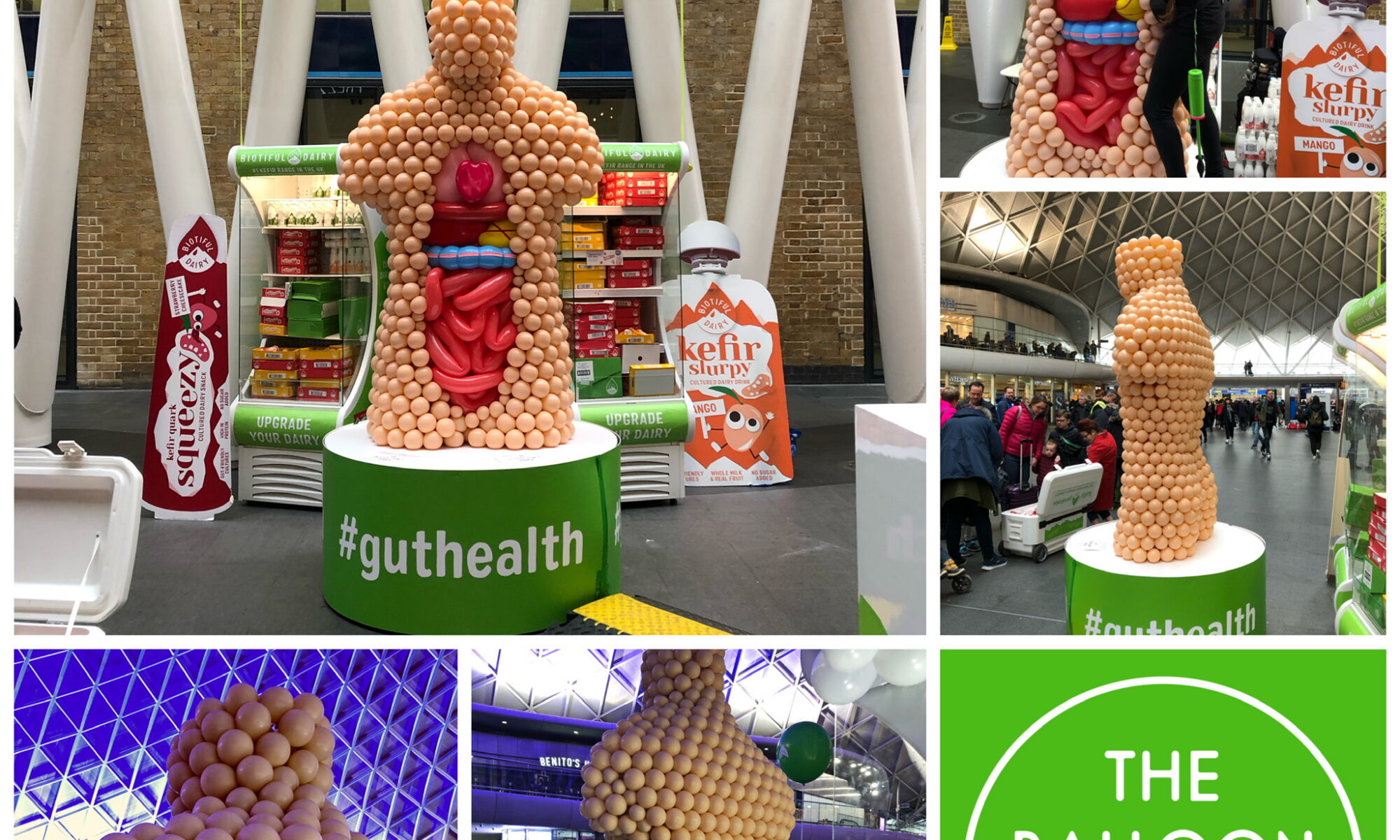 Balloon anatomy installation in Kings Cross Railway Station for Biotiful by The Balloon Stylist London